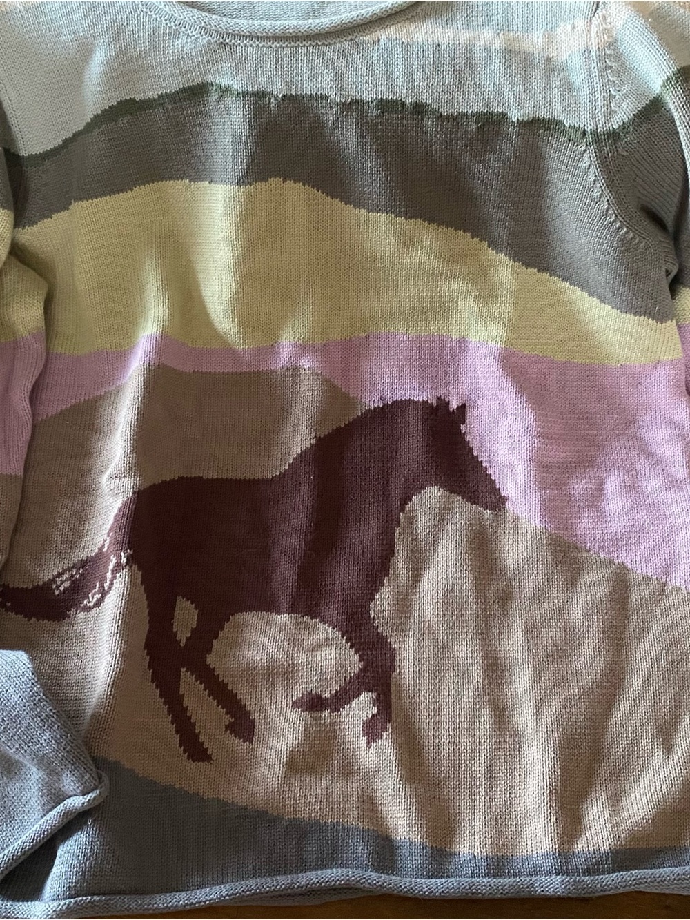 Coldwater Creek Beige and Cream Striped Horse Knit Sweater
